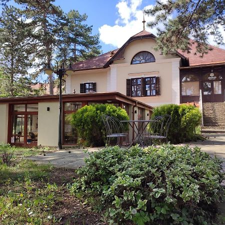 Imola Garden Vendeghaz Otel Balatonfüred Dış mekan fotoğraf